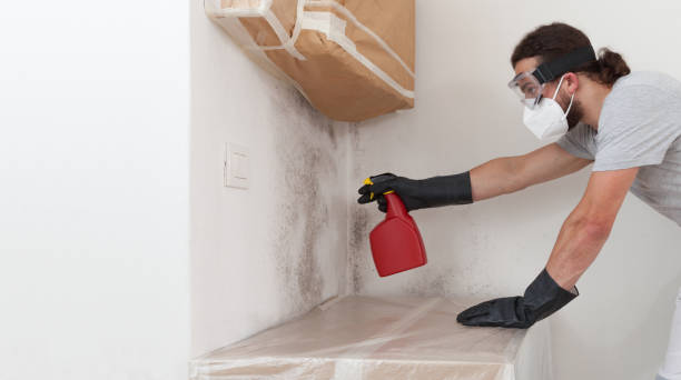 Professional Bathroom Mold Removal technician working in Mesa, AZ