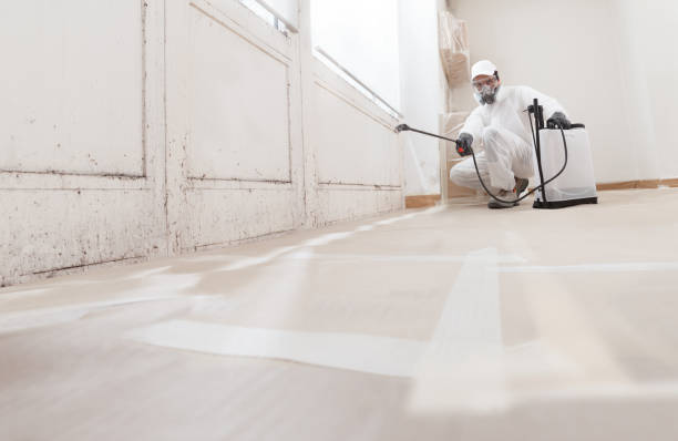 24/7 Emergency Bathroom Mold Removal experts in Mesa, AZ