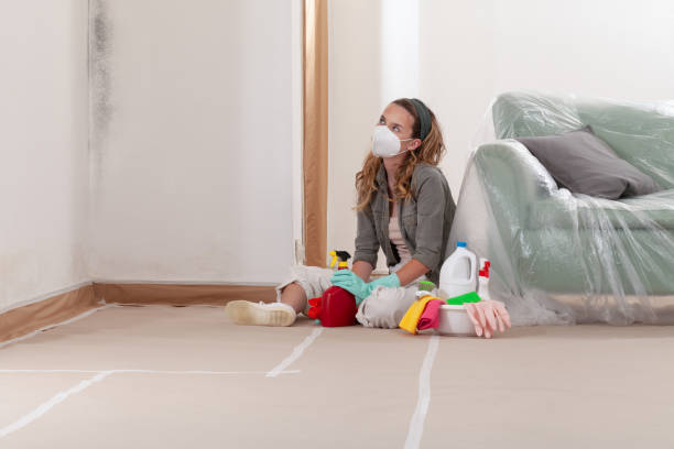 Reliable Bathroom Mold Removal contractor in Mesa, AZ by Mold Remediation HQ